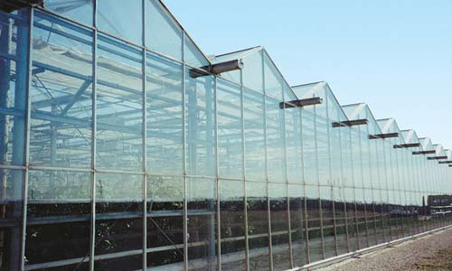 Evaporative Cooled Greenhouse